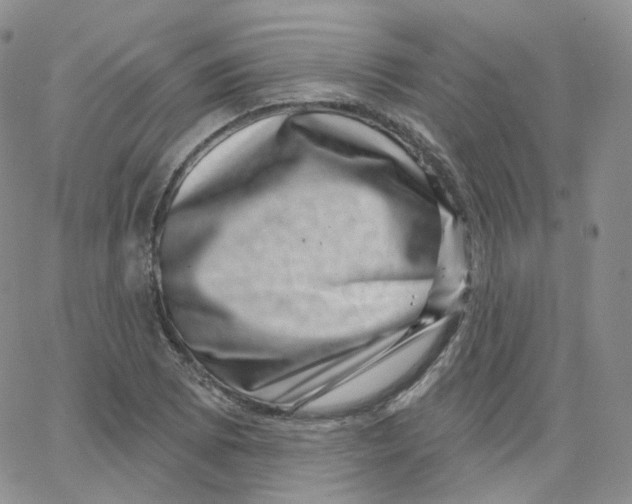 X0000065261073200603131156