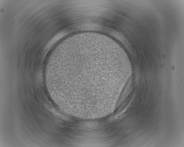 X0000065261074200603131156