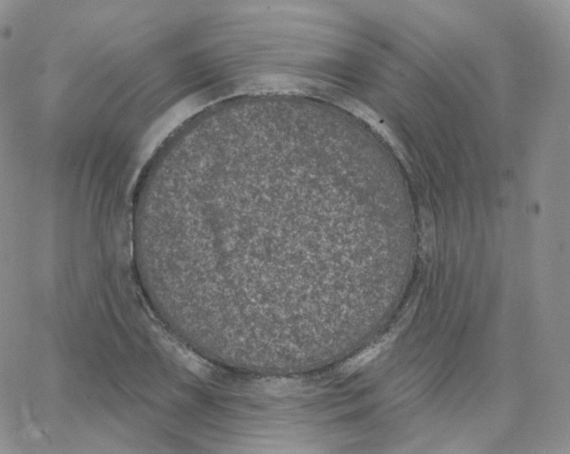 X0000065261075200603131156