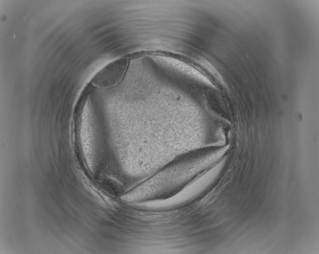 X0000065261076200603131156