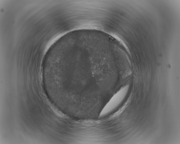 X0000065261077200603131156