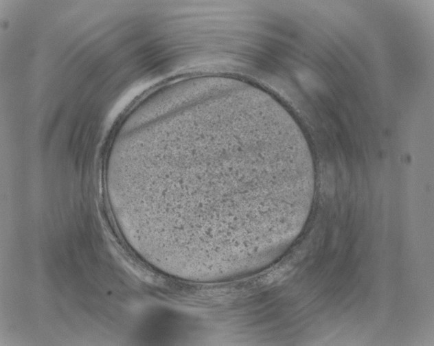 X0000065261078200603131156