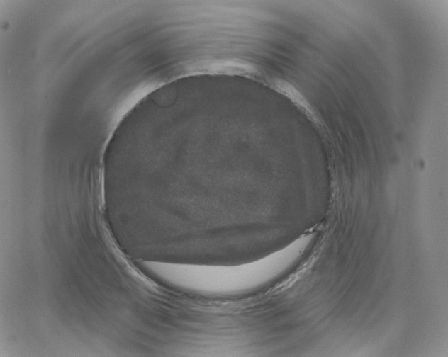 X0000065261079200603131156