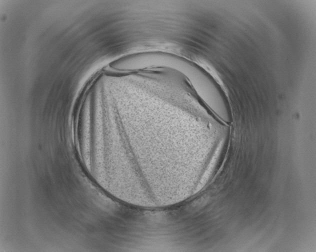 X0000065261080200603131156