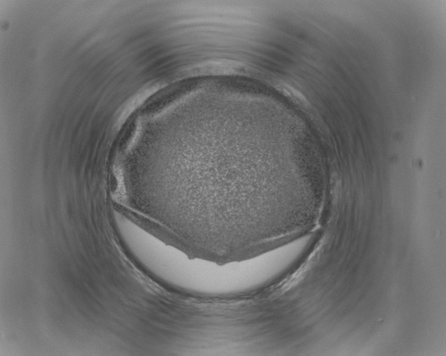 X0000065261081200603131156