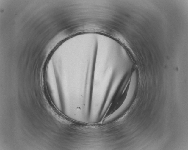 X0000065261082200603131156