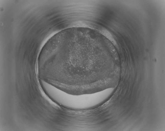 X0000065261084200603131156