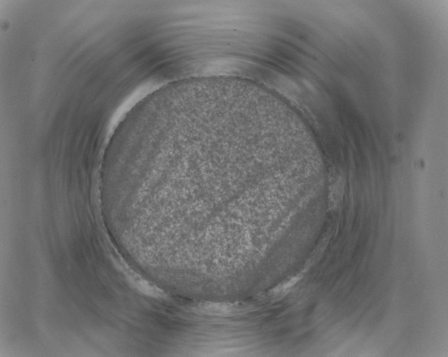 X0000065261086200603131156