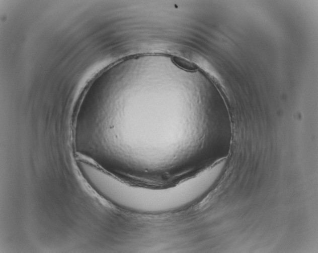 X0000065261088200603131156