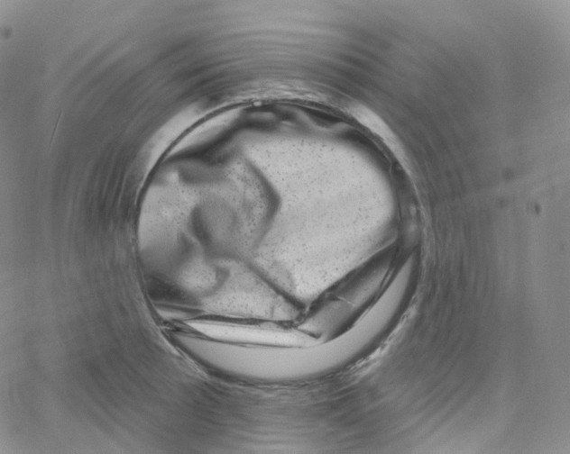 X0000065261089200603131156