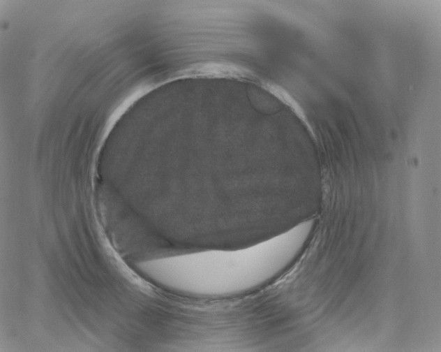 X0000065261091200603131156