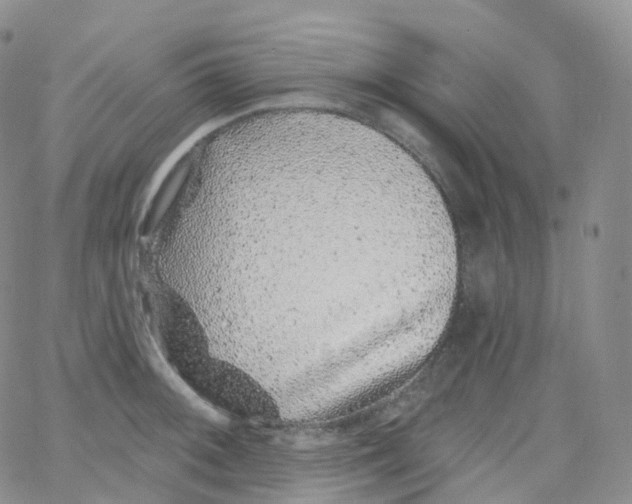 X0000065261092200603131156