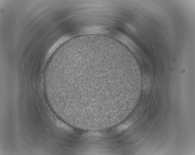 X0000065261094200603131156