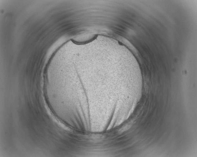 X0000065261096200603131156