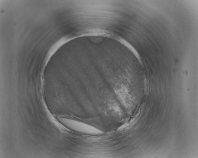 X0000065261099200603131156