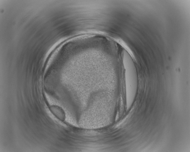 X0000065261100200603131156