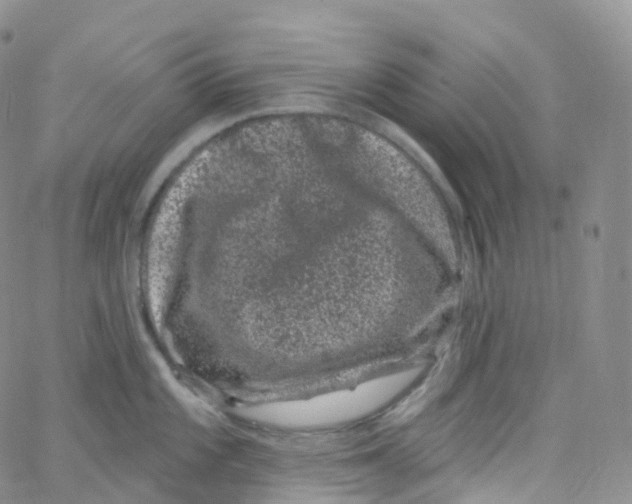 X0000065261101200603131156