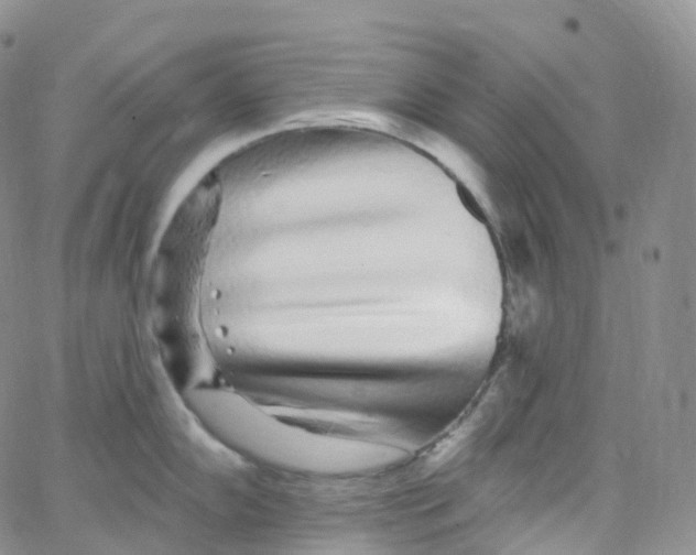 X0000065261102200603131156