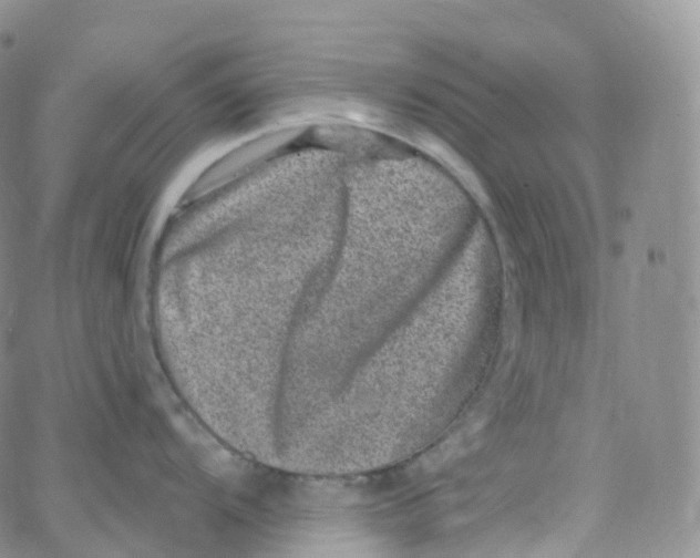 X0000065261104200603131156