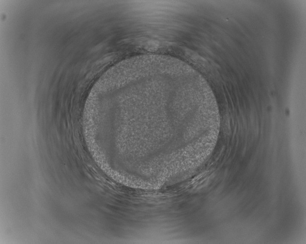 X0000065261105200603131155