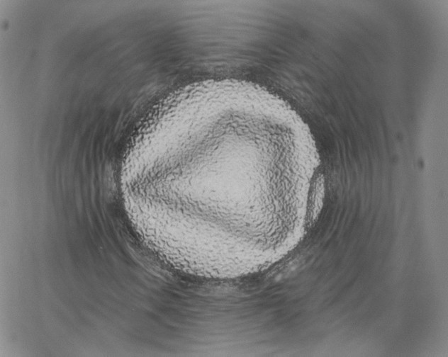 X0000065261106200603131155