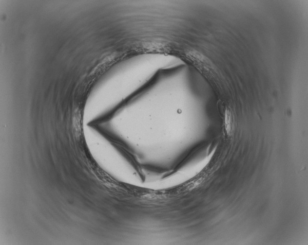 X0000065261107200603131155