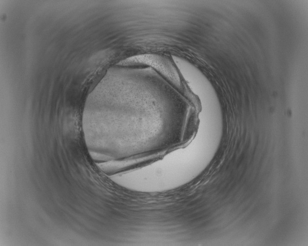 X0000065261108200603131155