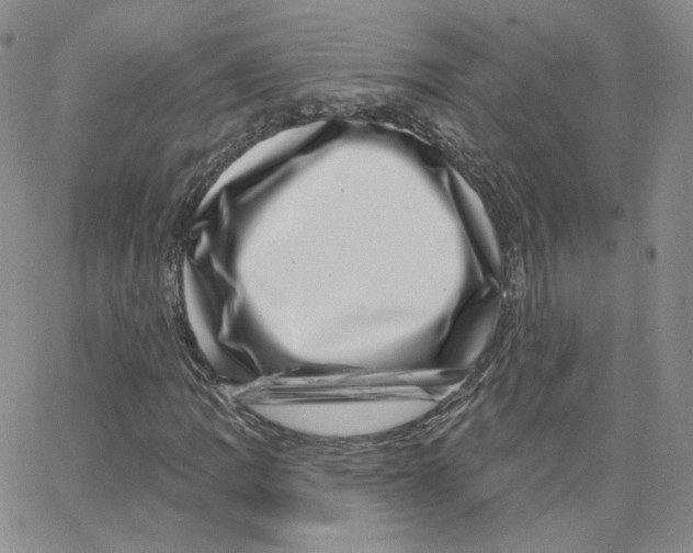 X0000065261109200603131155