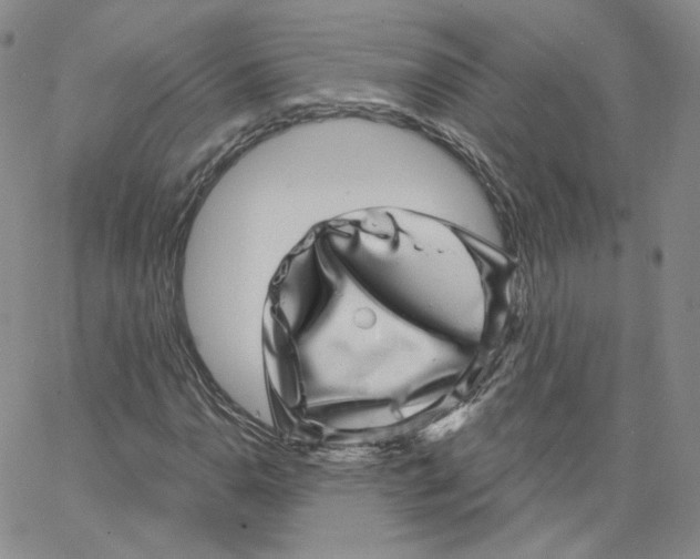 X0000065261110200603131155