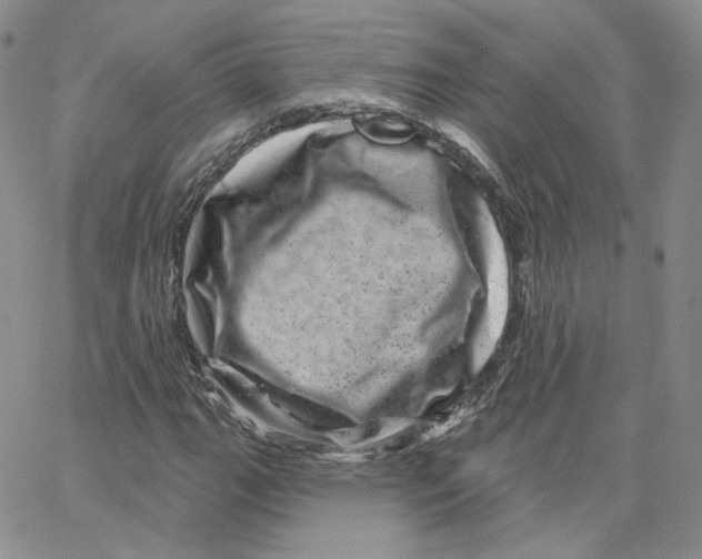 X0000065261111200603131155