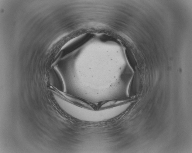 X0000065261112200603131155