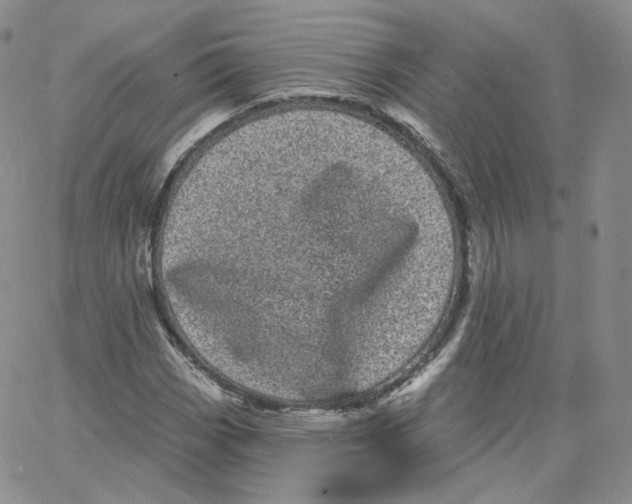 X0000065261113200603131155