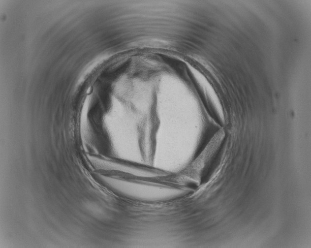 X0000065261115200603131155