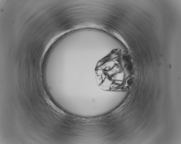 X0000065261116200603131155