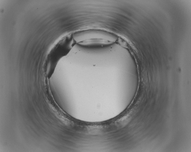 X0000065261118200603131155