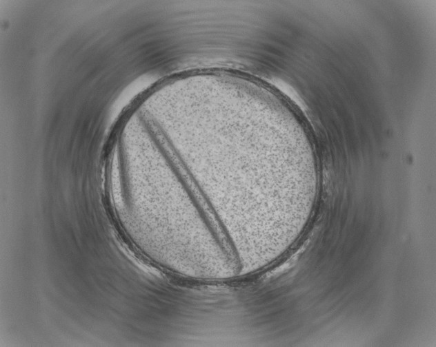 X0000065261119200603131155