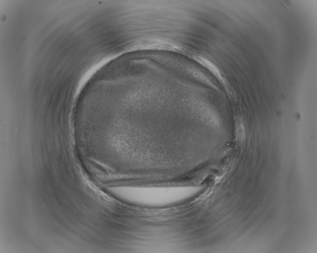 X0000065261120200603131155