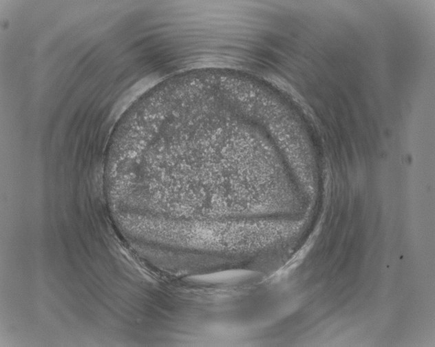 X0000065261121200603131155