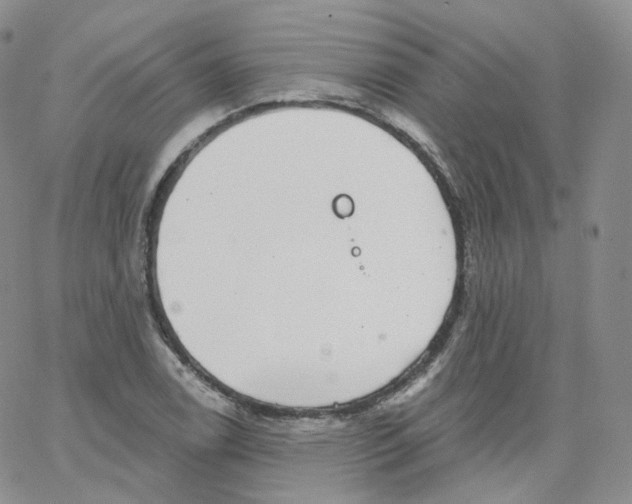 X0000065261122200603131155