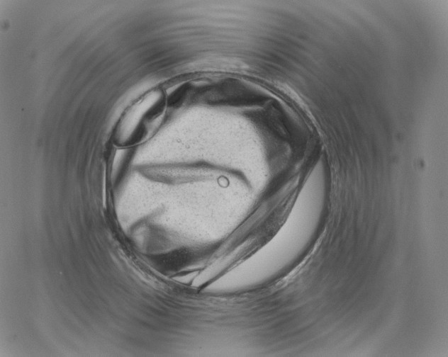 X0000065261123200603131156