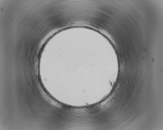 X0000065261126200603131156