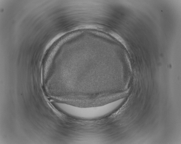 X0000065261127200603131156