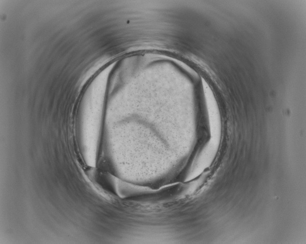 X0000065261129200603131156