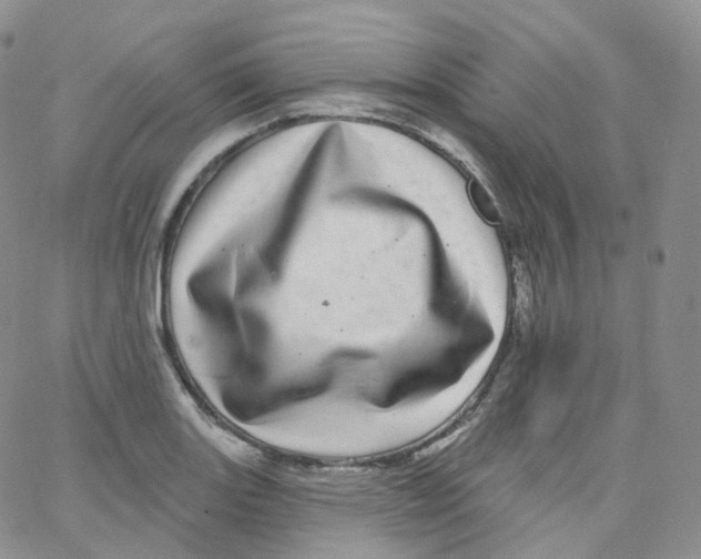 X0000065261131200603131156