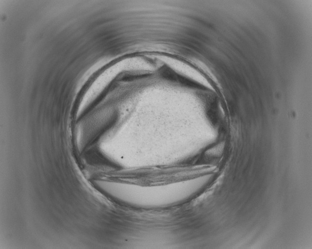 X0000065261133200603131156