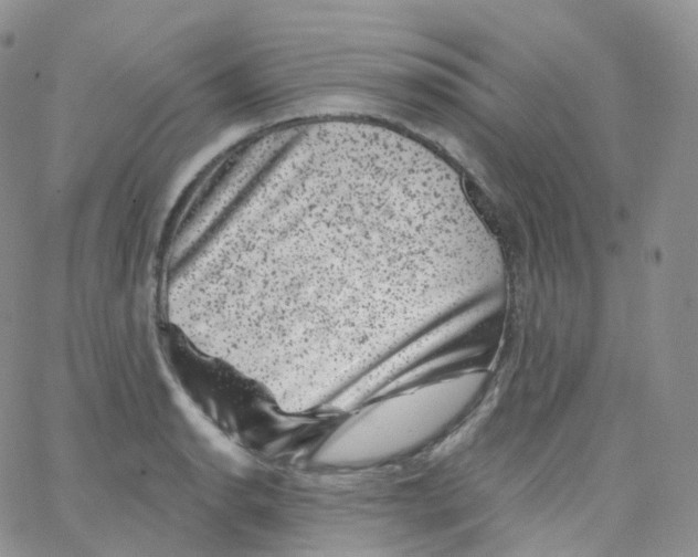 X0000065261134200603131156