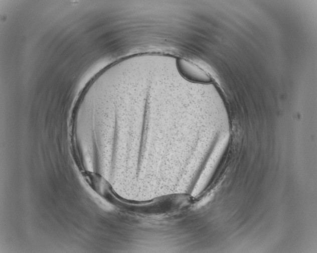 X0000065261135200603131156