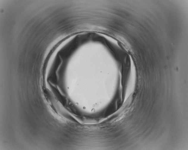 X0000065261136200603131156