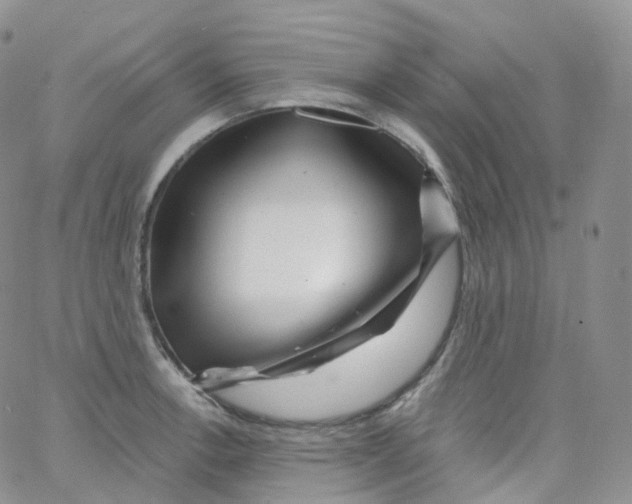 X0000065261138200603131156