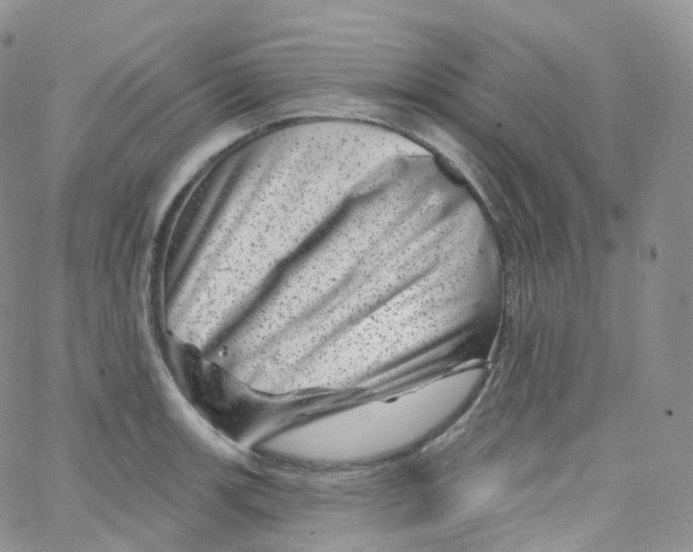 X0000065261139200603131156